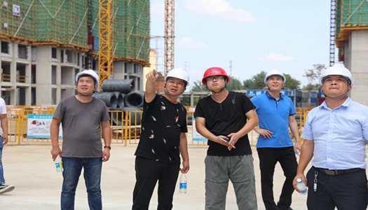 开云官方版网站登录入口董事会巡检圆满完成